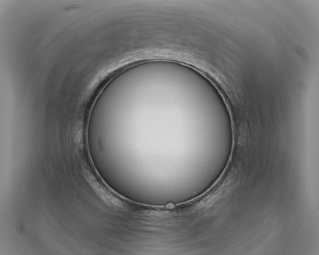 X0000111181499200907081225