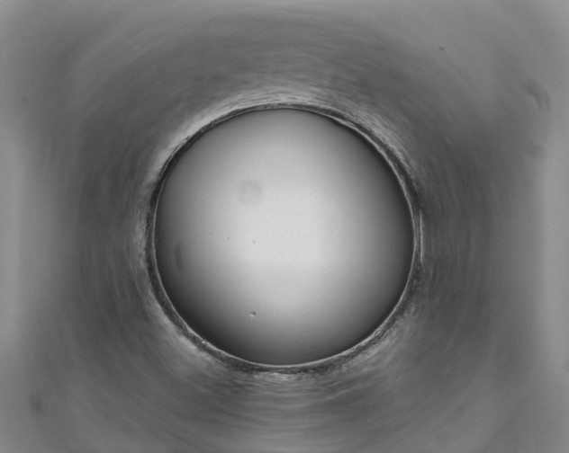 X0000111181500200907081225