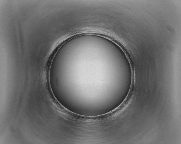 X0000111181501200907081225