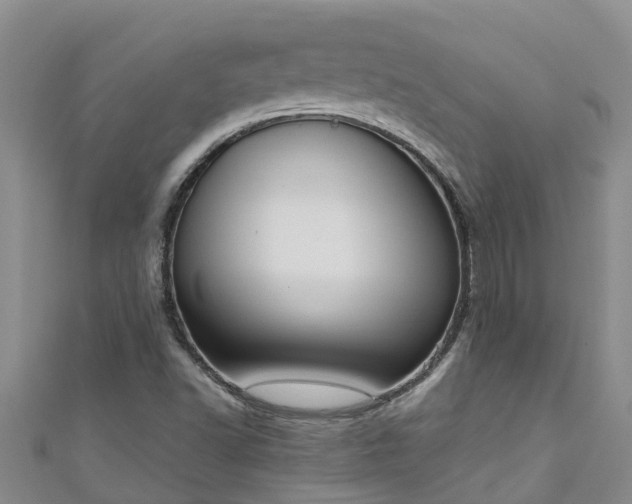 X0000111181502200907081225