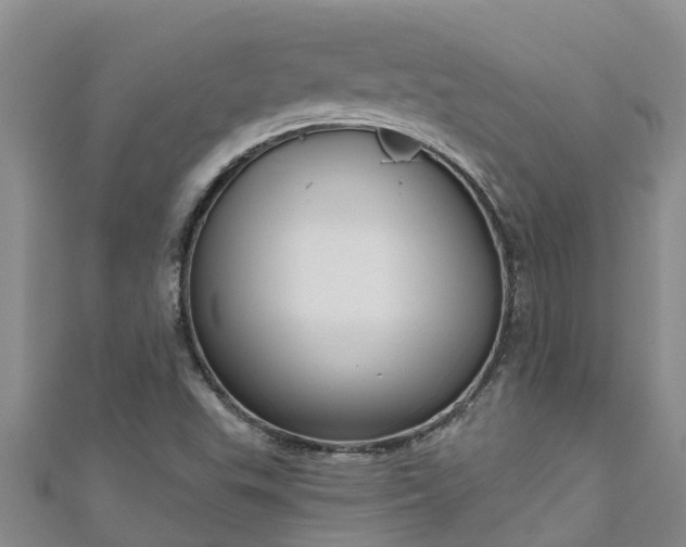 X0000111181503200907081225