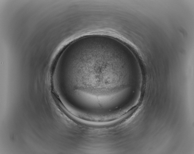 X0000111181506200907081225