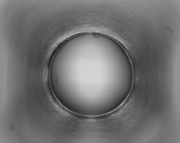 X0000111181507200907081225