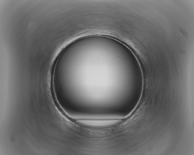 X0000111181508200907081225