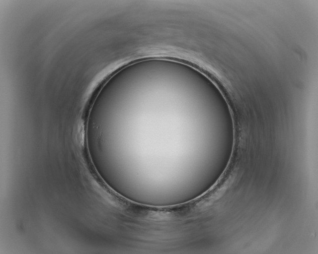 X0000111181509200907081225