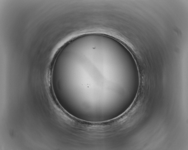 X0000111181510200907081225