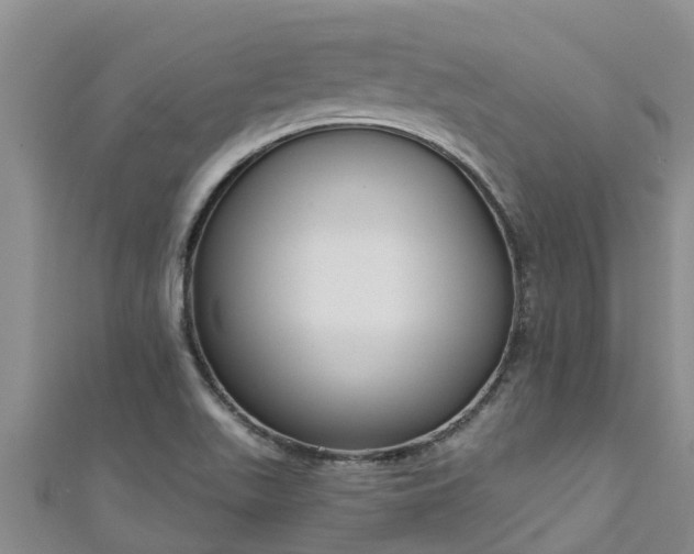 X0000111181511200907081225