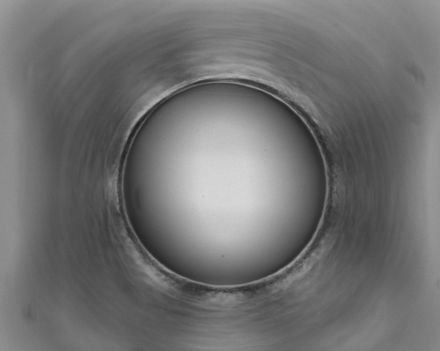 X0000111181513200907081225