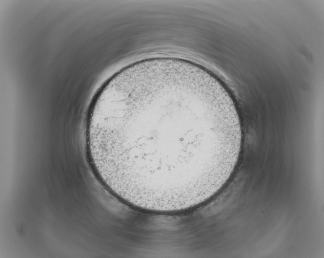 X0000111181514200907081225