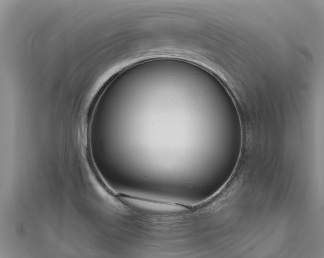 X0000111181515200907081225