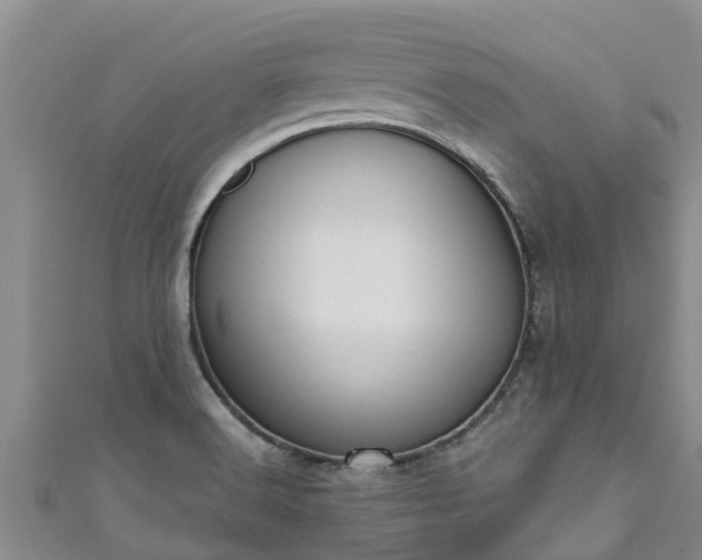 X0000111181516200907081225