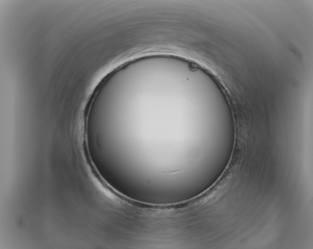 X0000111181519200907081225