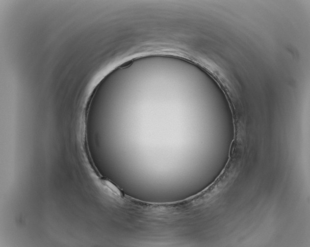 X0000111181520200907081225