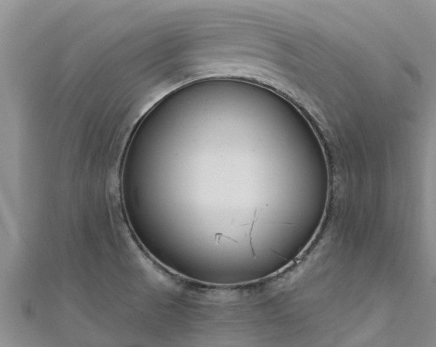 X0000111181521200907081225