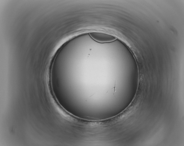 X0000111181523200907081225