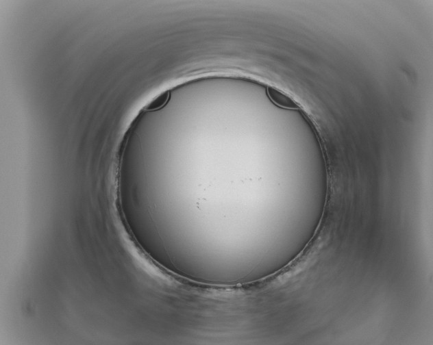 X0000111181526200907081225