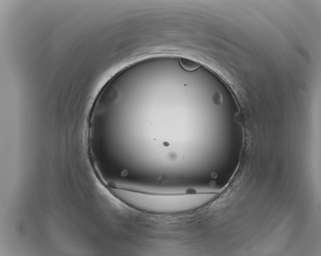 X0000111181527200907081225