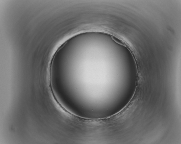 X0000111181528200907081225