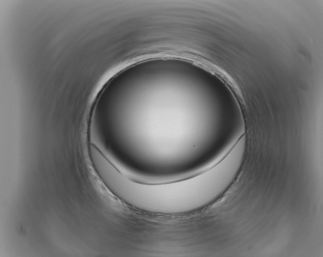 X0000111181530200907081225