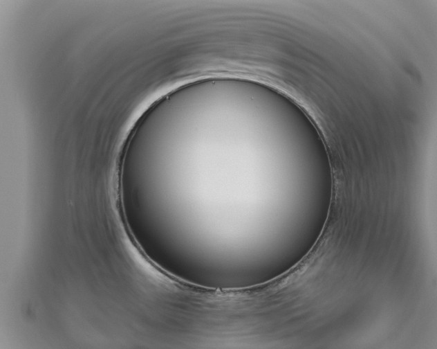 X0000111181531200907081225