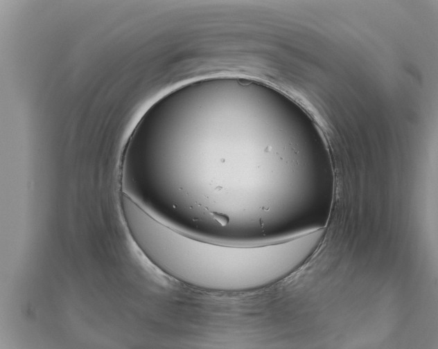 X0000111181532200907081225