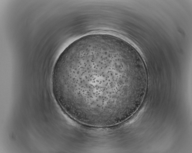 X0000111181533200907081225