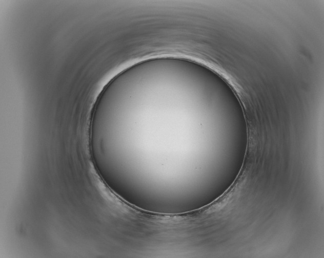 X0000111181534200907081225