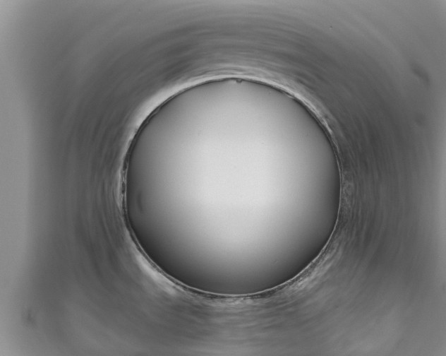 X0000111181535200907081225