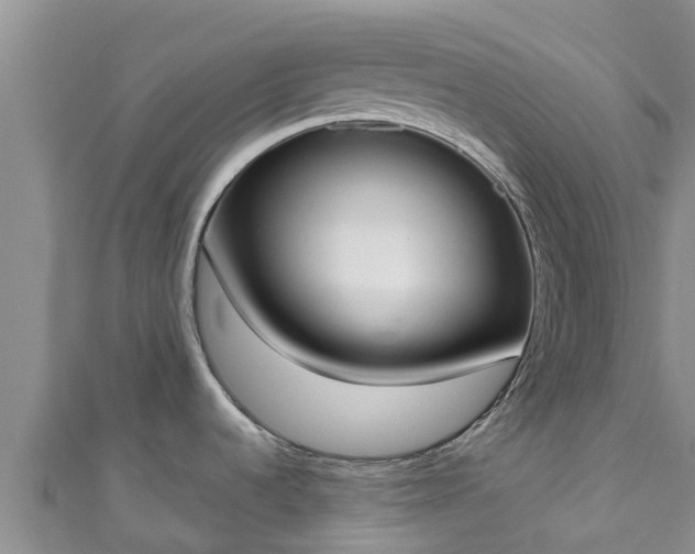 X0000111181536200907081225