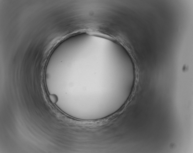 X0000111180001200907151336