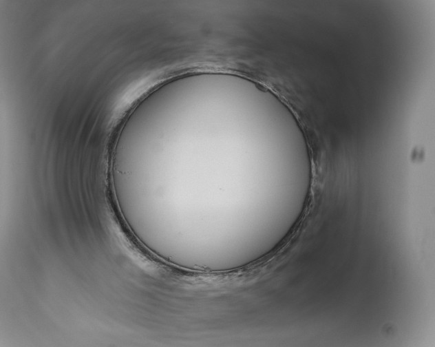 X0000111180005200907151336