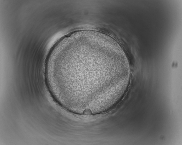 X0000111180006200907151336