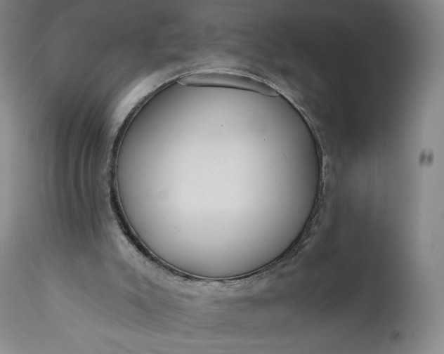 X0000111180007200907151336