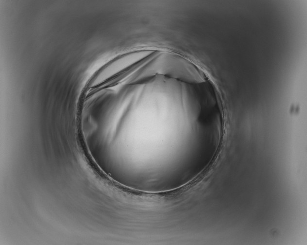 X0000111180008200907151336