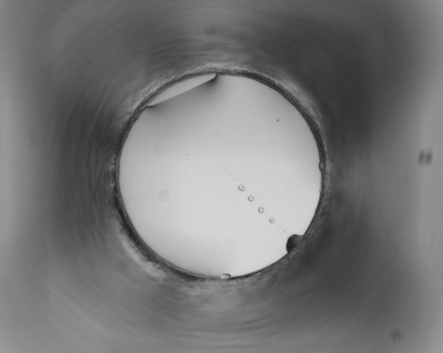 X0000111180009200907151336