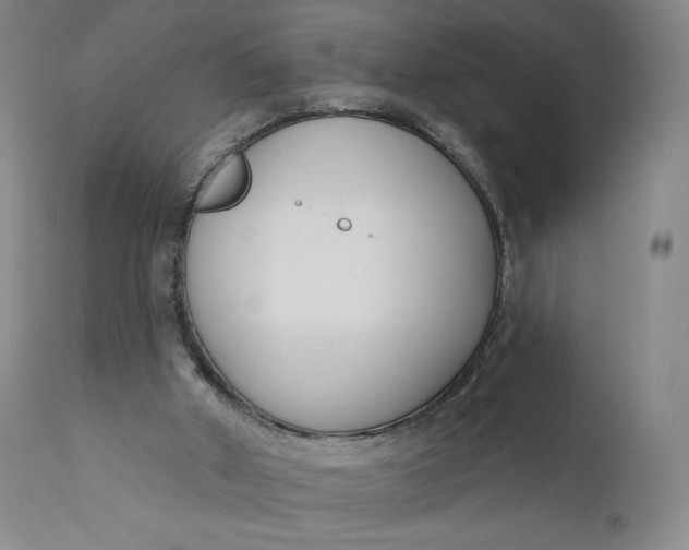 X0000111180010200907151336