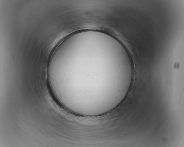 X0000111180011200907151336