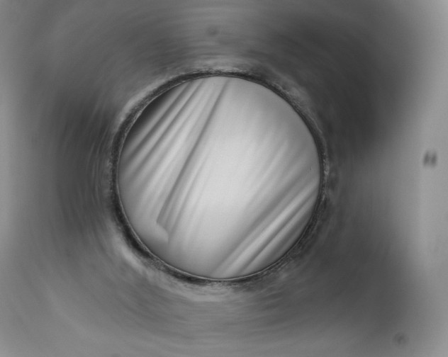 X0000111180012200907151336