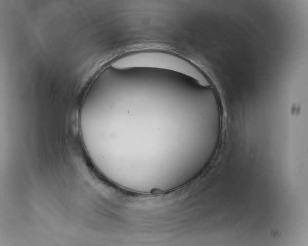 X0000111180013200907151335