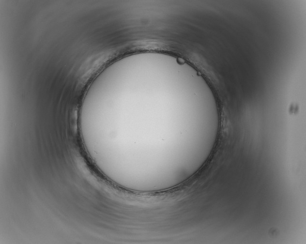 X0000111180014200907151335