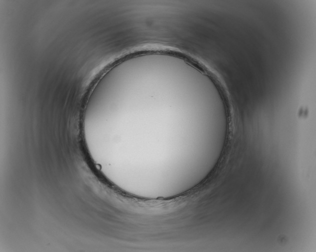 X0000111180015200907151335