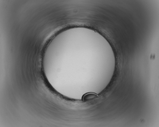 X0000111180016200907151335