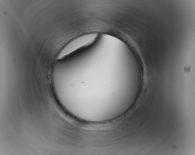 X0000111180017200907151335