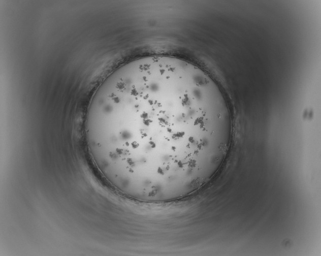 X0000111180018200907151335