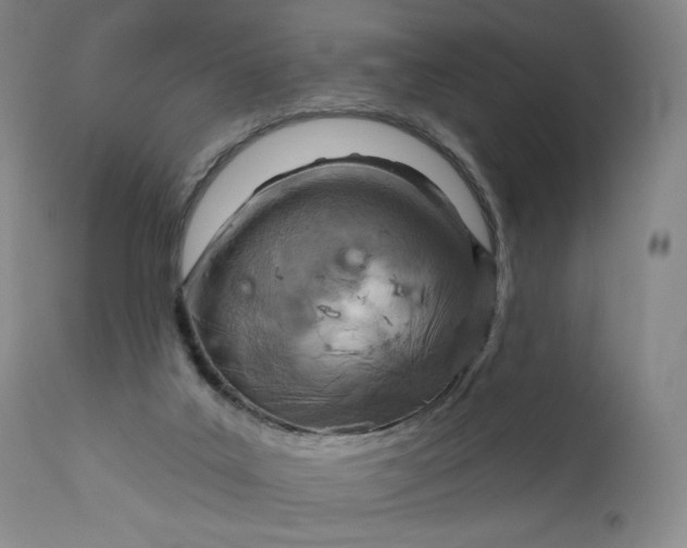 X0000111180019200907151335