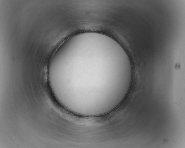 X0000111180020200907151335