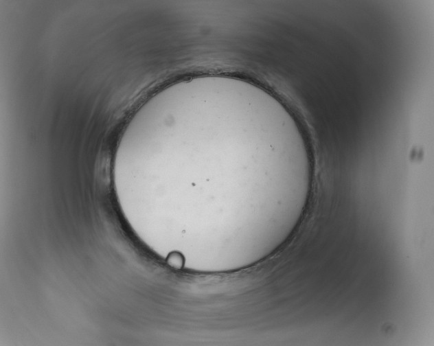 X0000111180021200907151335