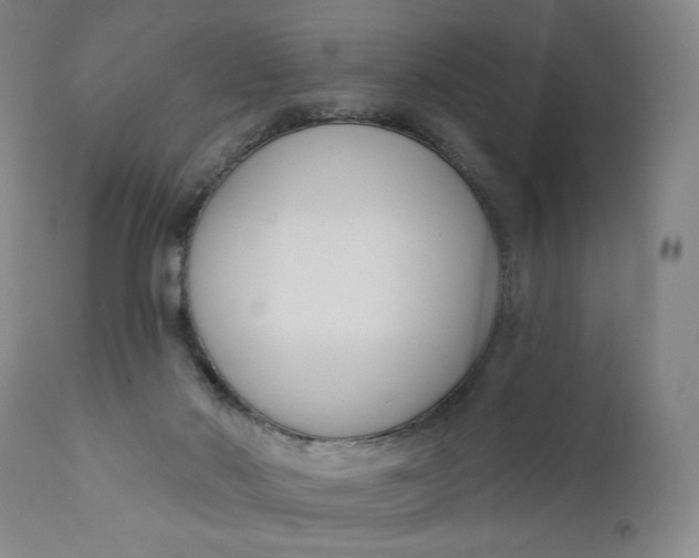 X0000111180022200907151335