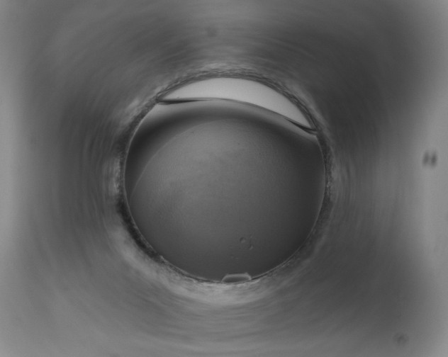 X0000111180023200907151335