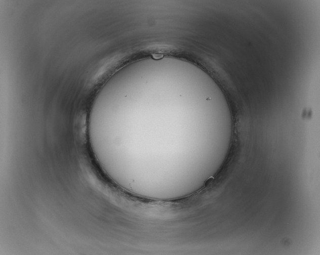 X0000111180024200907151335